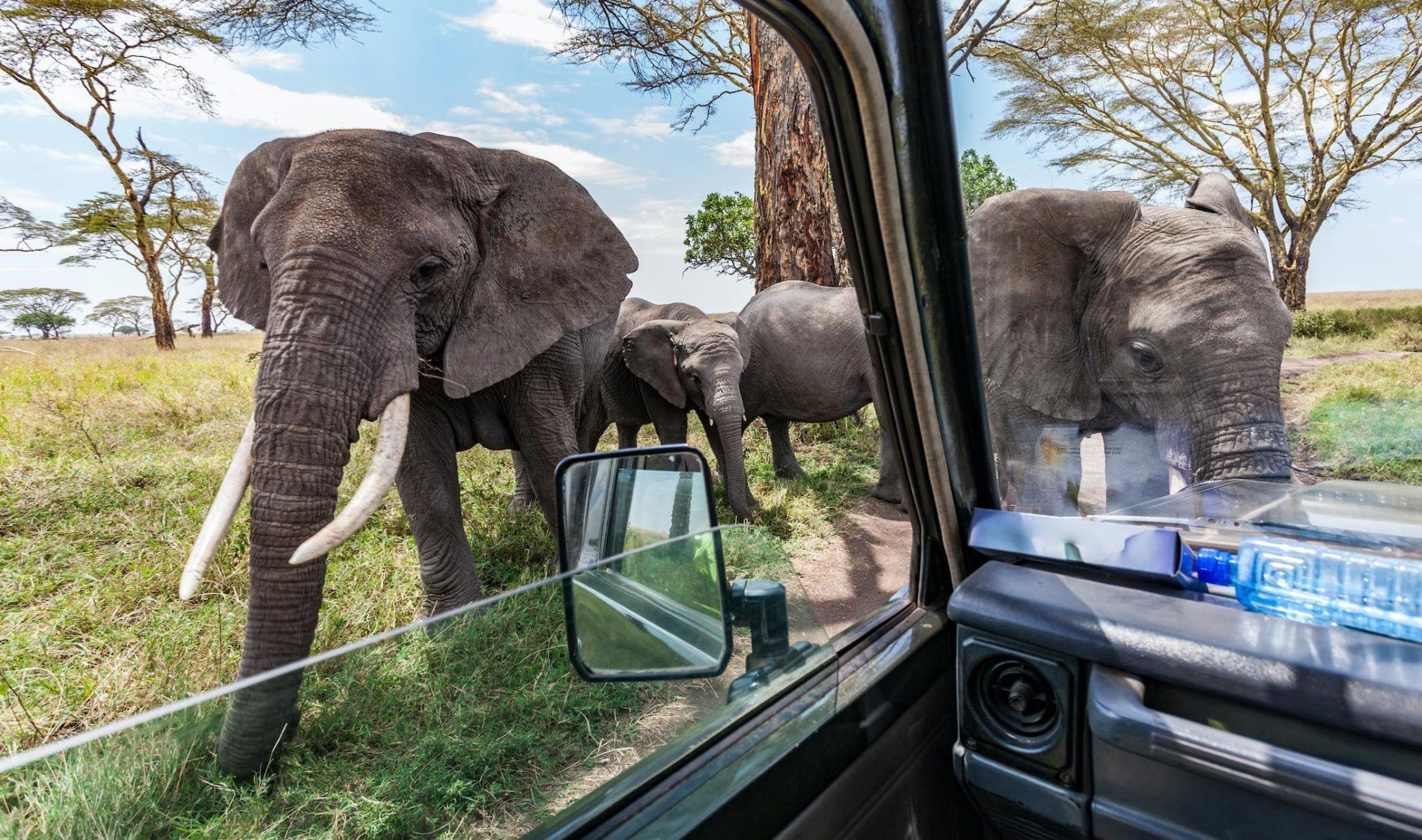 ¿A qué lugares de África puedes viajar ahora mismo?