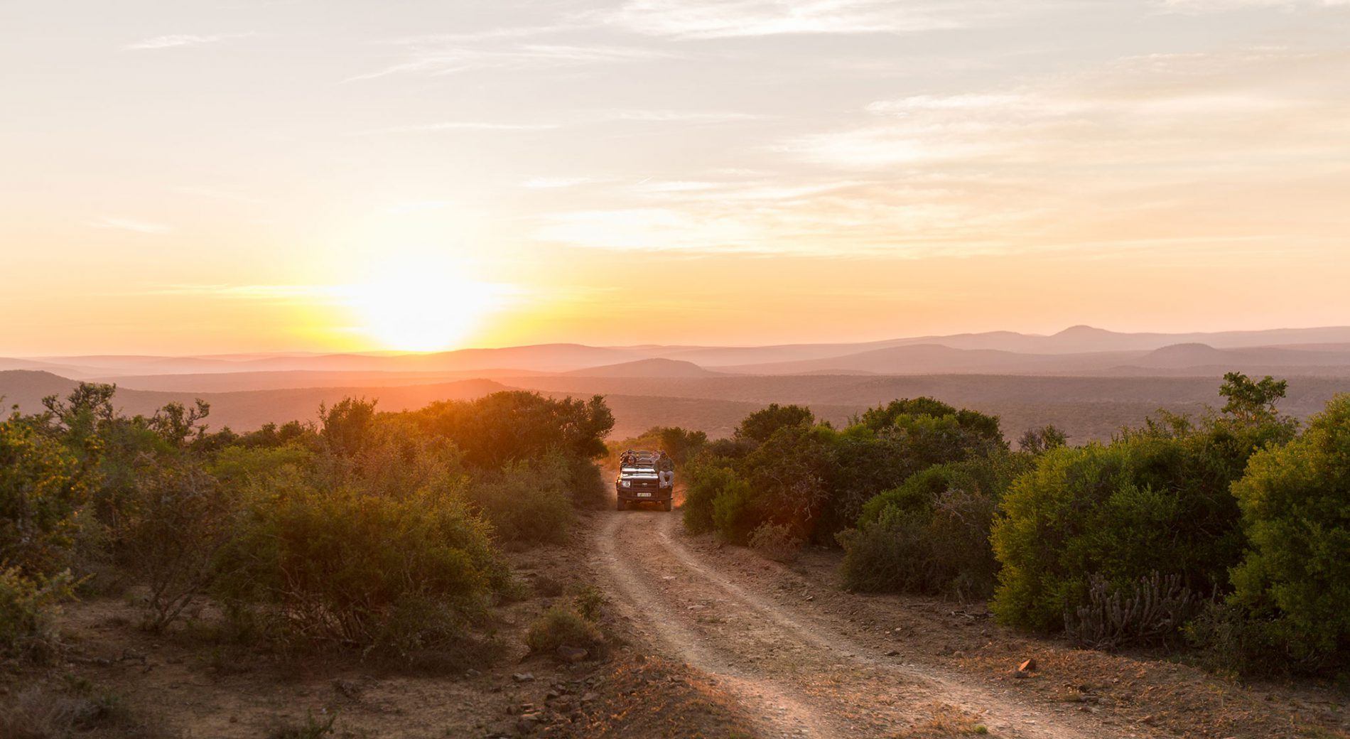 Rien de tel qu'un safari au coucher du soleil à Kwandwe